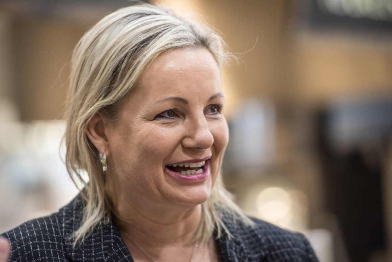 Sussan Ley has been given the unenviable task of attracting female voters back to the Conservative side of politics. (AAP image).