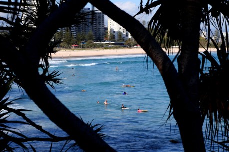 Coast beaches reopen with ‘extreme caution’ warning after fatal shark attack
