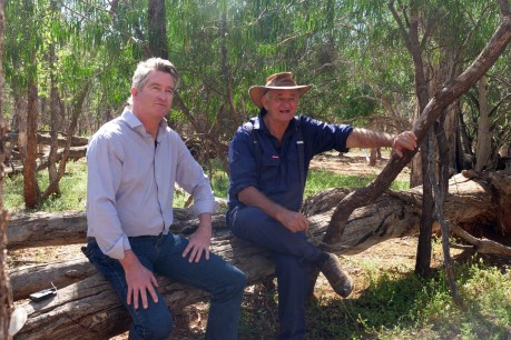 How ‘carbon farming’ is sucking the life out of our outback communities