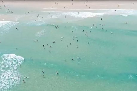 Eye in the sky: Drones to keep swimmers safe from surf and sharks