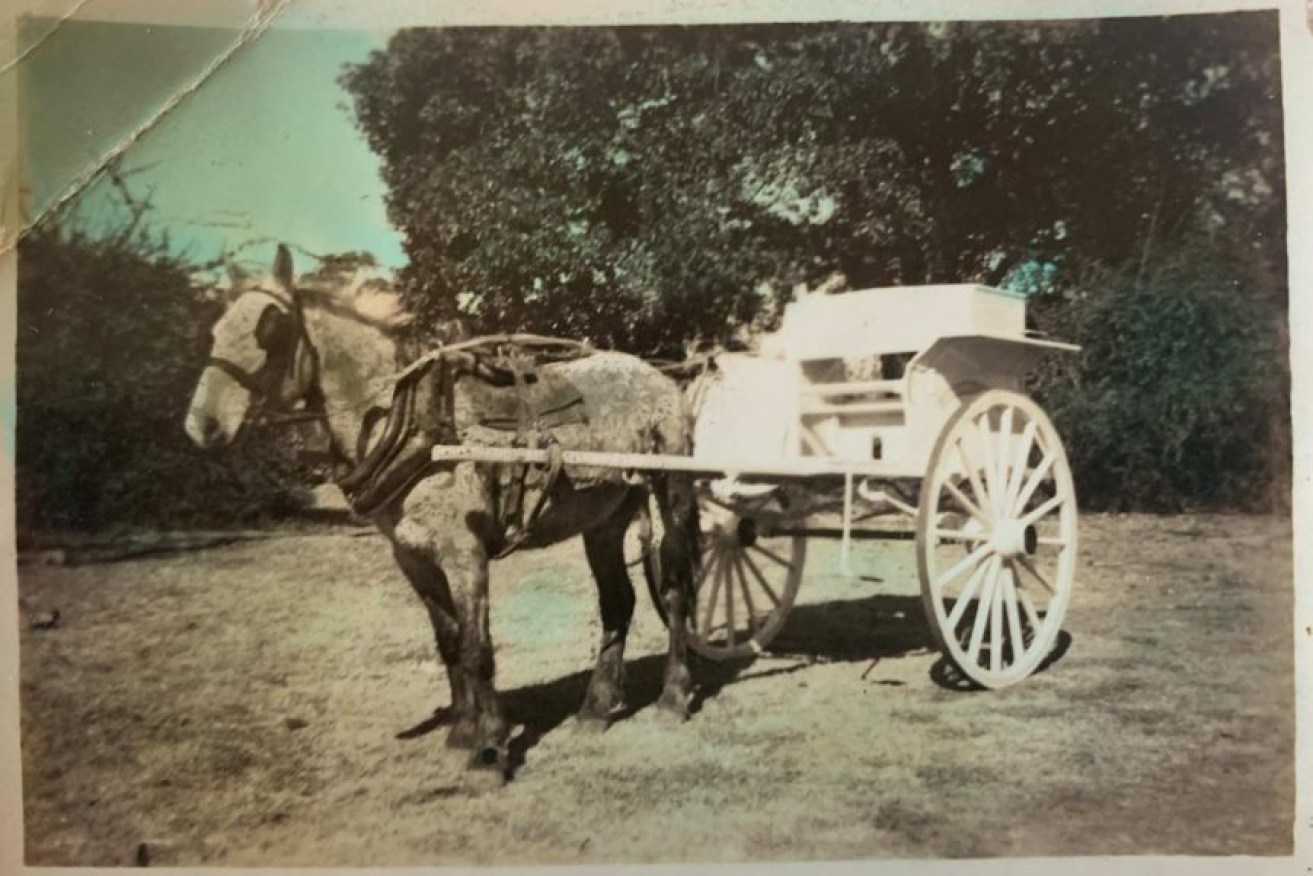 The Fisher family used a horse and cart as early as 1917 to deliver milk to the Beaudesert community.(Supplied)
