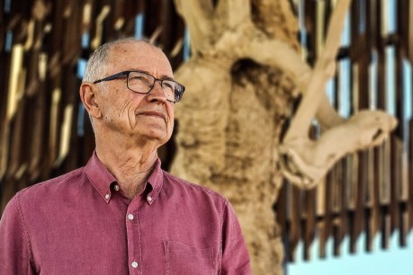 Ross Garnaut was Australia’s climate change guru. Why is he living in a remote western Qld town?