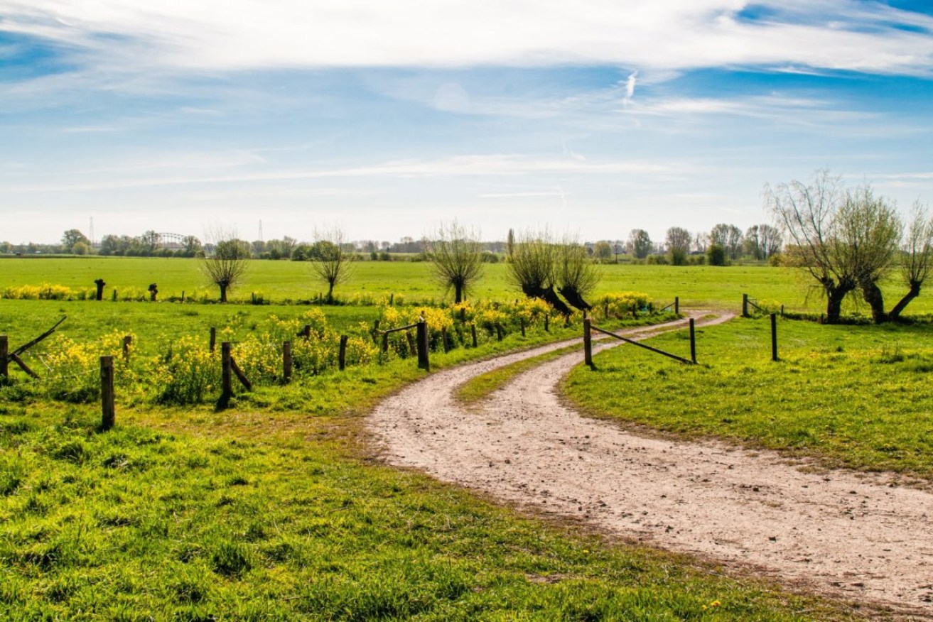 Rural property prices are tipped to take a hit in the next 12 months. (Photo: Jos Zwaan on Unsplash).