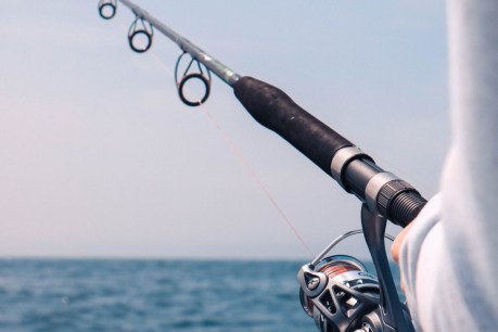 Angler’s fishing rod hunt lands him $4000 fine, two weeks’ quarantine