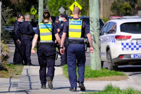 Victorian policeman suspended over ‘head-kick’ arrest