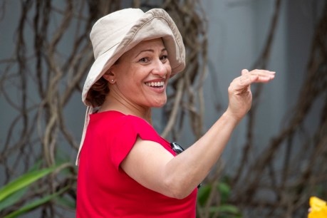 Former Labor star Jackie Trad set to fall as Greens grab South Brisbane