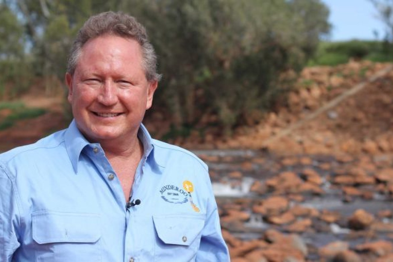 Andrew 'Twiggy" Forrest has won Government backing for his hydrogen plans (Photo: ABC)
