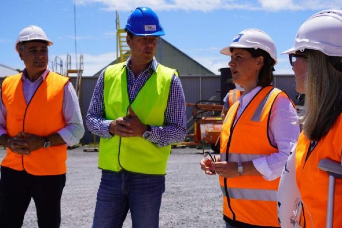 Ms Frecklington was on the campaign trail with Sam Marino, LNP candidate for Cairns (far left). Photo: ABC