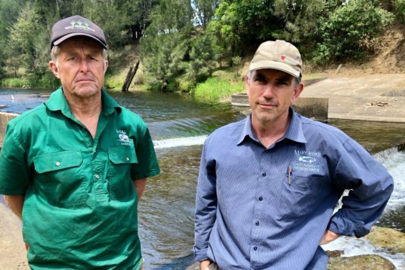Organic farmer John Tidy and Brad Wedlock from the Mary River Catchment Coordinating Committee are concerned about the lack of flow in the Mary River and its tributaries. (Photo: ABC)