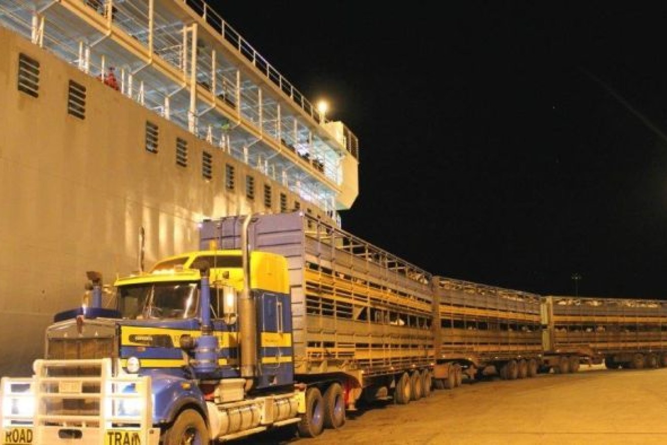 A new animal welfare requirement that would have reduced the number of livestock loaded per ship has been delayed, according to industry groups. Photo: ABC