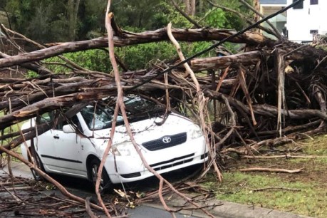 Thousands without power and more storms on the way, warns bureau