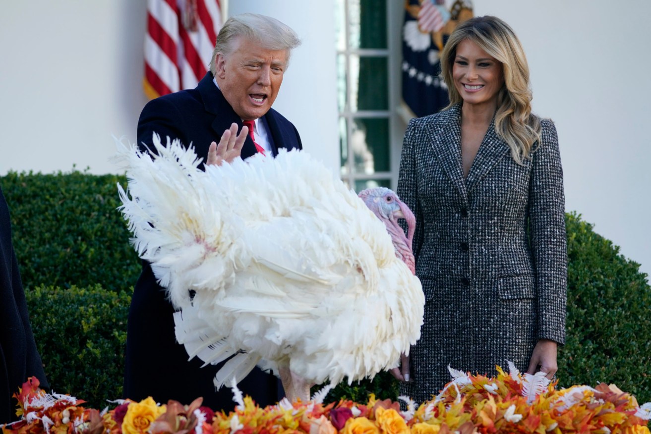 President Donald Trump pardons Corn, the national Thanksgiving turkey, in the Rose Garden of the White House, as first lady Melania Trump watches. (Photo: AP Photo/Susan Walsh)