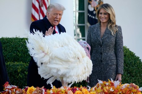 Lame-duck president pardons Thanksgiving turkey in fowl tradition