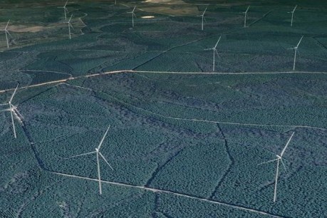 Wind farm in Australia’s largest forest plantation to power one in four Queensland homes