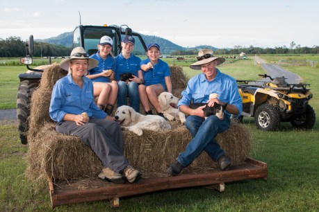 Growing interest: How our farmers are helping keep tourism industry alive