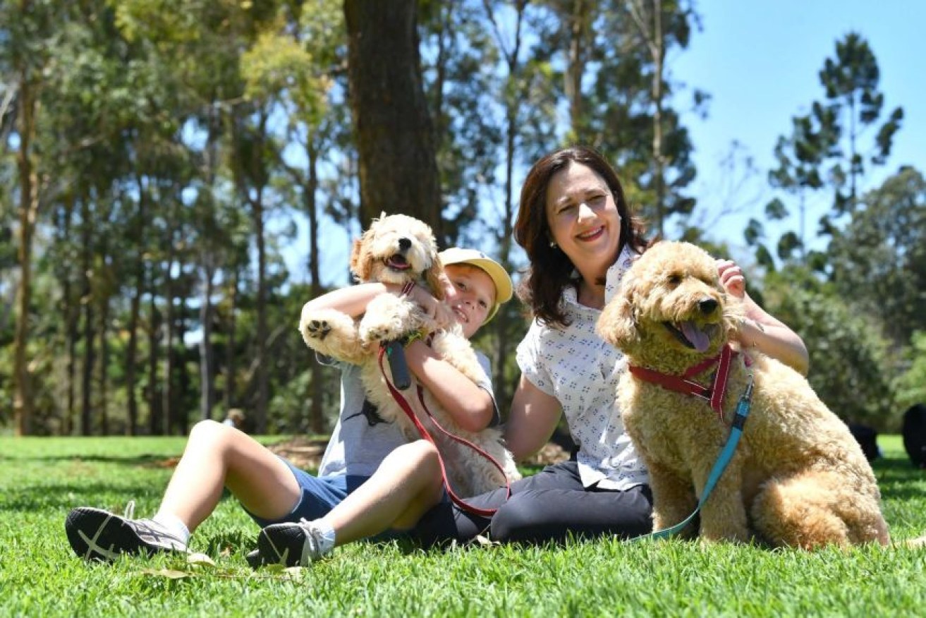 Queensland Premier Annastacia Palaszczuk is seen with her dog Winton and her nephew Harry and his dog Oakey on Sunday. She hit the ground running on a State Budget today (AAP Image/Darren England) 