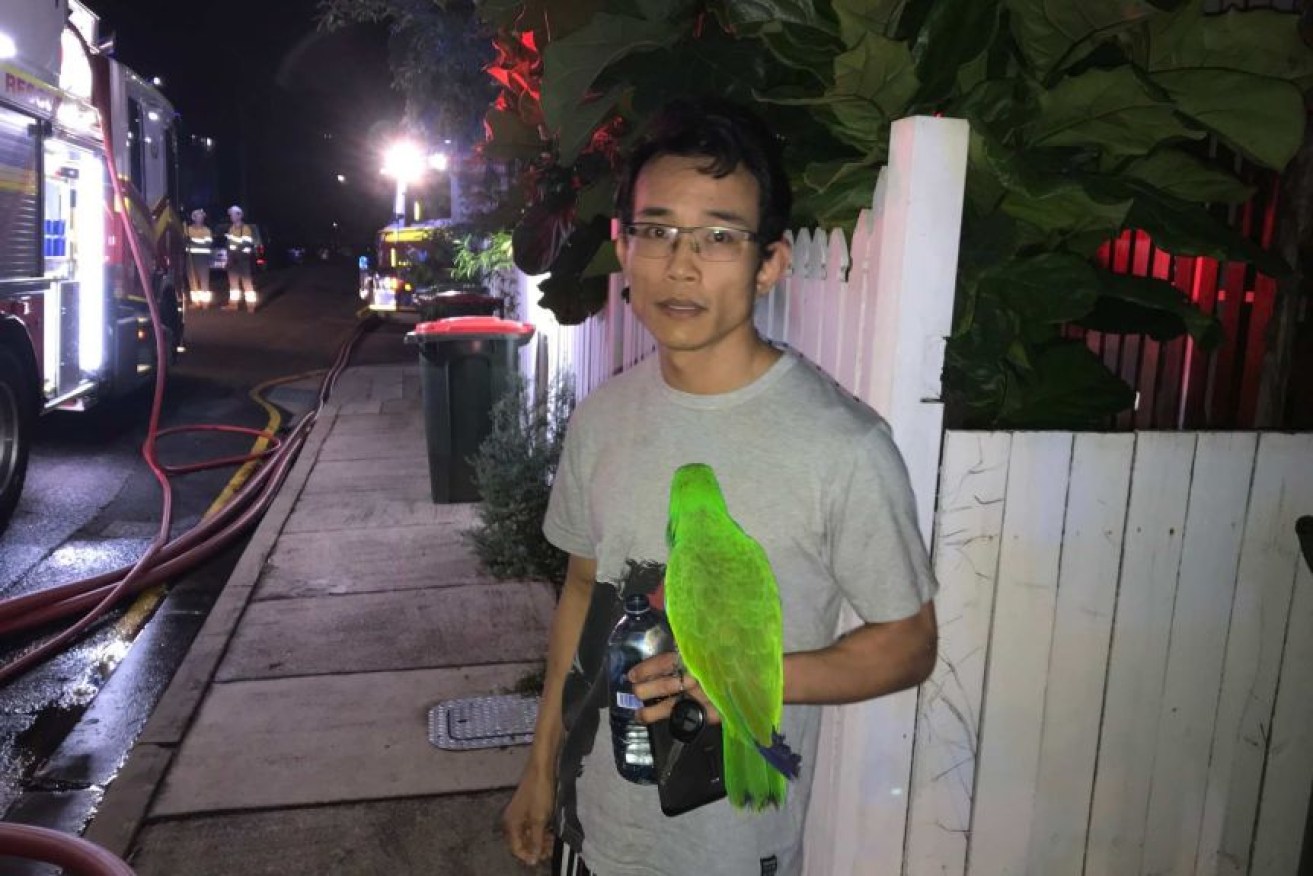 Anton Nguyen's parrot, Eric, alerted him to the fire when he squawked his owner's name. (Photo: ABC News: Stuart Bryce)