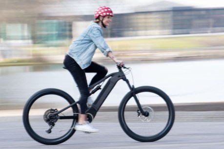 Make way for the e-bike: council to axe CityCycle scheme