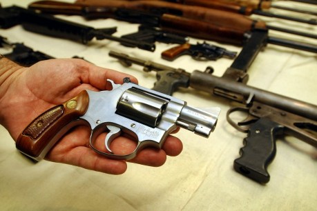 Going soft on guns: Report finds ‘worrying lapses’ by police in enforcing laws