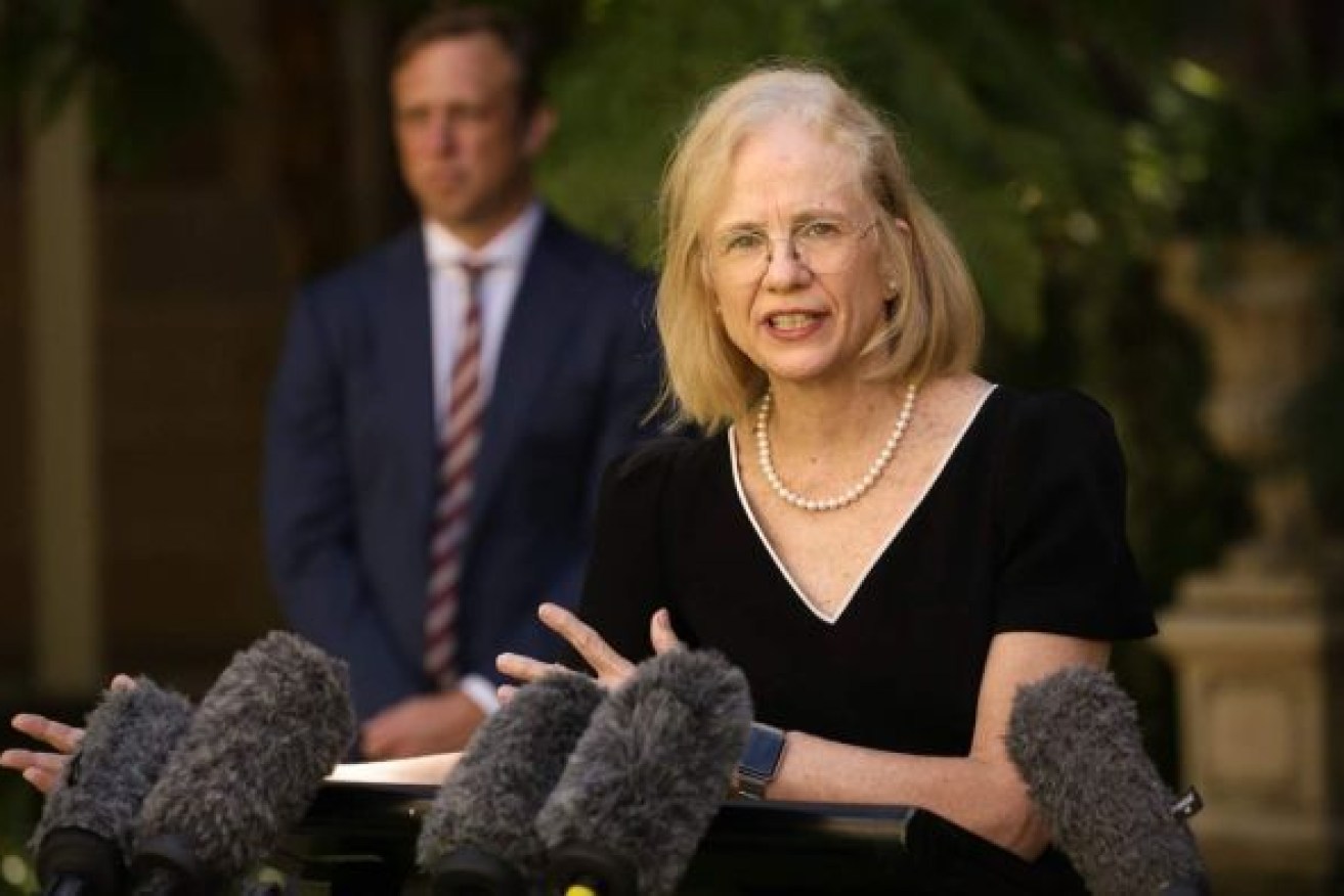 Queensland's Chief Health Officer Jeannette Young says "we just have to wait a little bit longer" until we open borders to Victoria. Photo: ABC