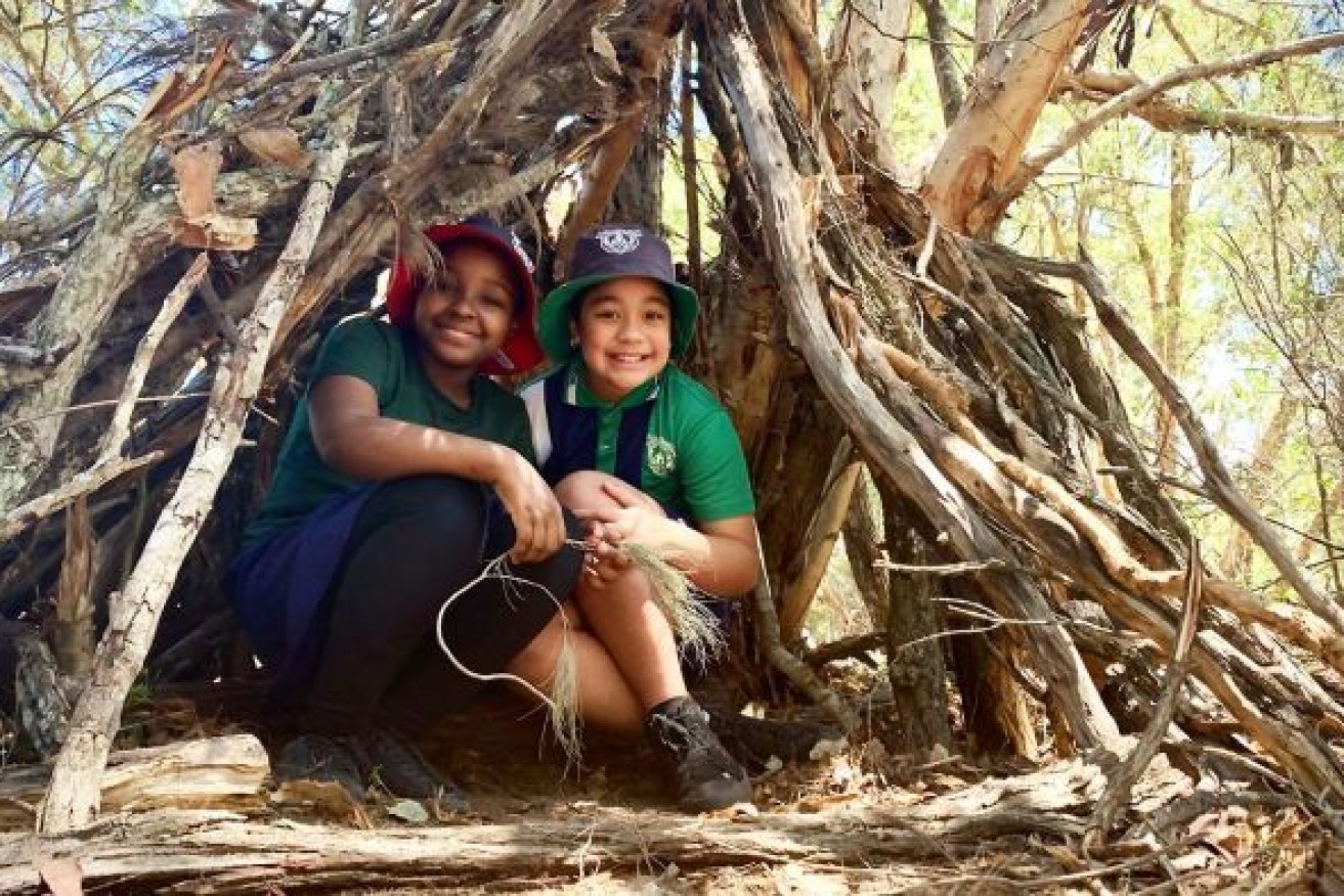 Teachers incorporate things found in nature like rocks, sticks and trees into lessons for music, math and science. Photo: ABC