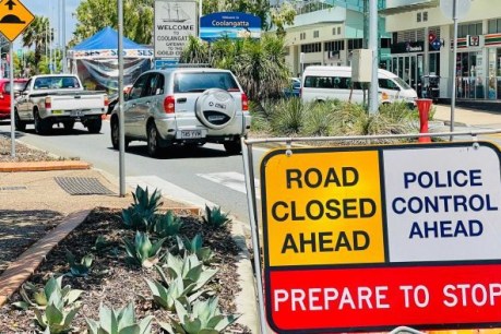 NSW border reopens, but will it be enough to save Queensland tourism?