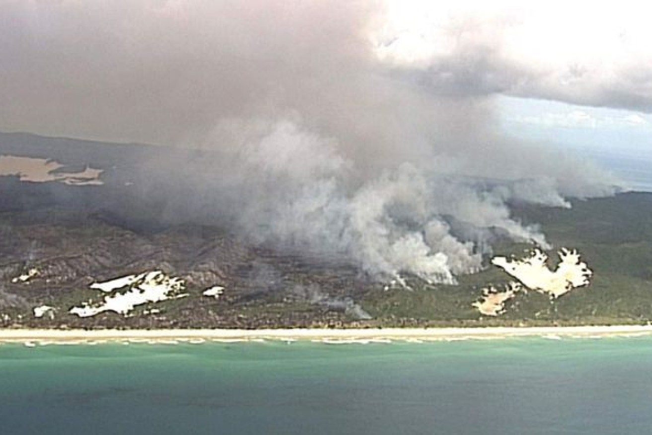 Fraser Island (K'gari) was burning for weeks. (Photo: ABC)