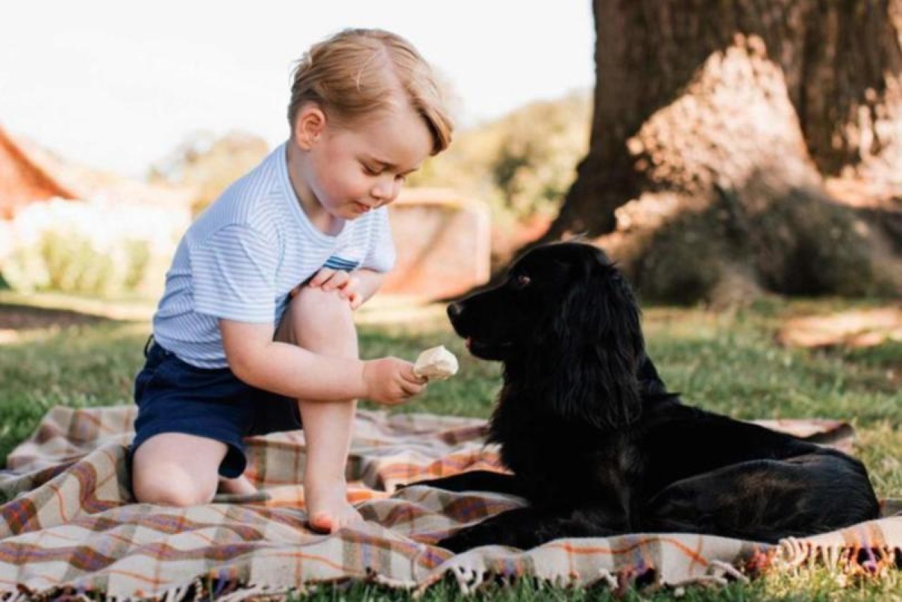 Prince George with family pet, Lupo. (Photo: AP)