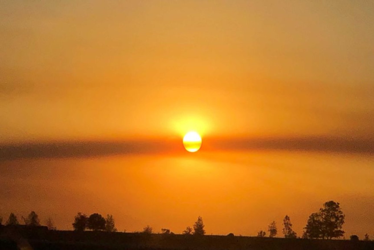 Searing sun and heat haze at Westbrook, southwest of Toowoomba. (Photo: ABC News: Arlie Felton-Taylor)