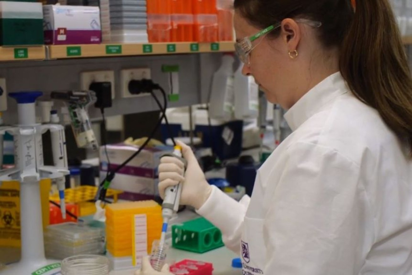 A UQ researcher working on the COVID-19 vaccine in March. Photo: UQ