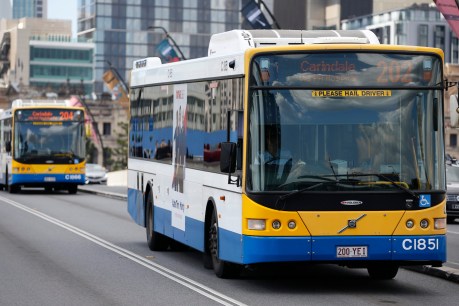 Why do commuters avoid busy buses in the morning but not on the way home?