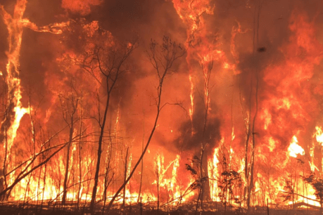 Searing temperatures pump up bushfire risk, fears of  ‘worst since Black Summer’