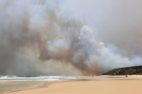 Painful sight: Palaszczuk orders Fraser Island bushfire review