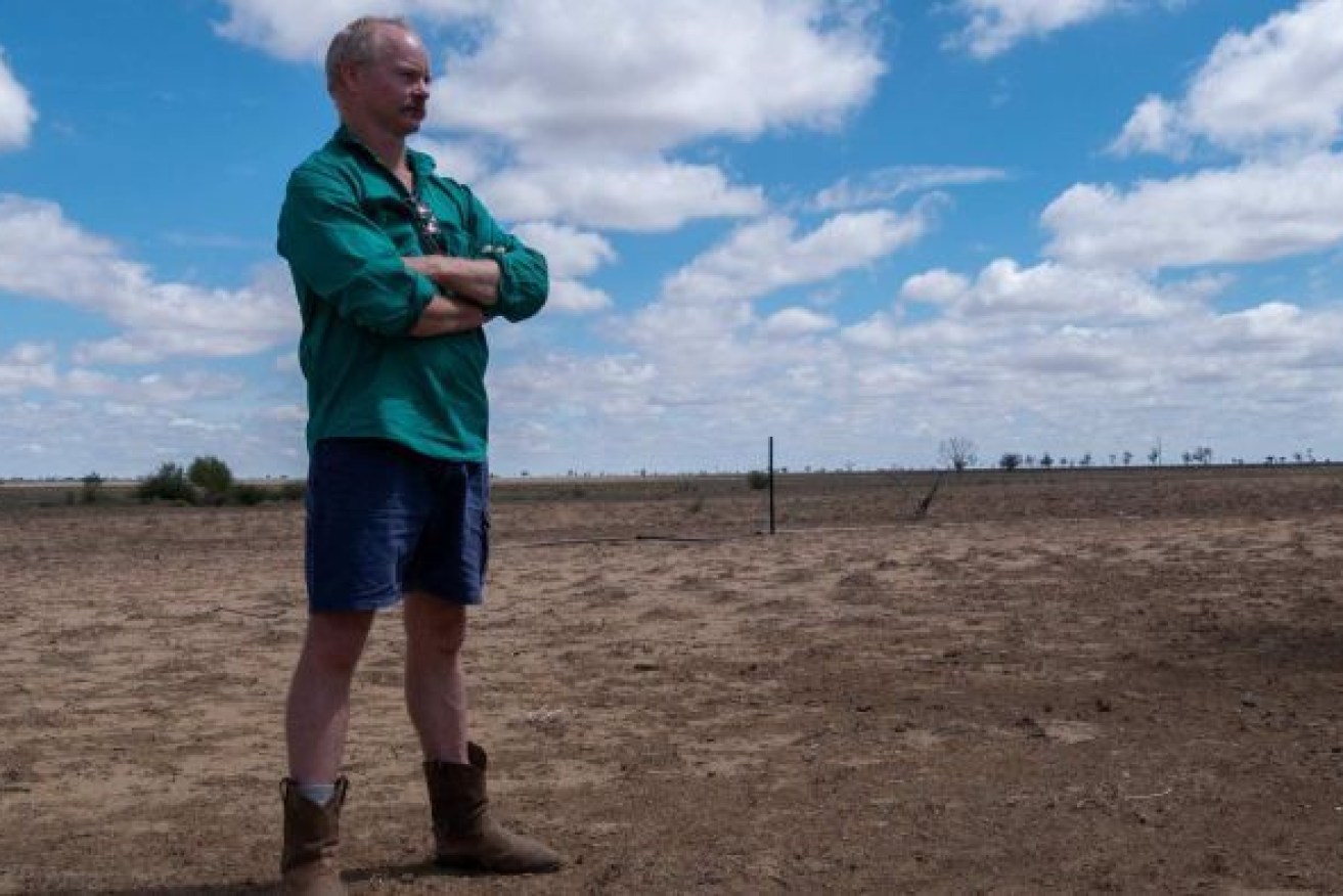 Paul Doneley says 2020 has been the toughest year yet at Dunraven Station, near Barcaldine. Photo: ABC