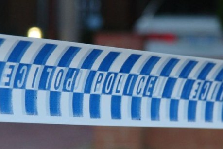 Man dead, police dog and handler stabbed in Toowoomba incident