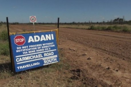 Adani fined for ‘misinterpreting’ environmental approval conditions