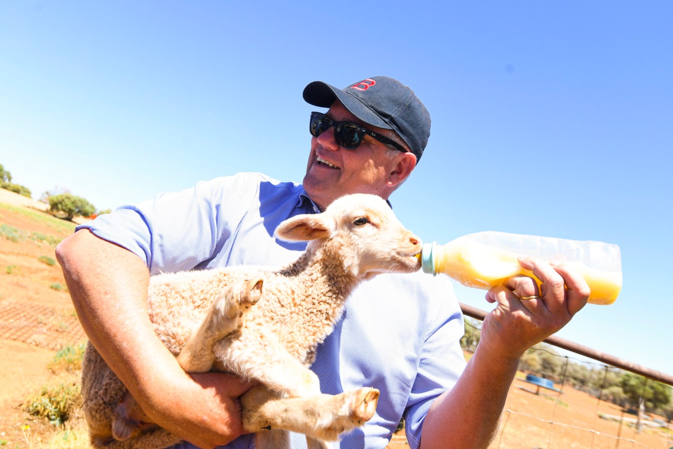 Australian Prime Minister Scott Morrison feeds a lamb during a visit to Tully family property Bunginderry Station outside Quilpie, Queensland, Tuesday, January 19, 2021. Australian Prime Minister Scott Morrison is on a 4 day visit to regional Queensland. (AAP Image/Lukas Coch)