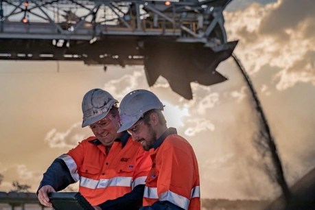 Mining jobs surge to eight-year high despite China coal bans