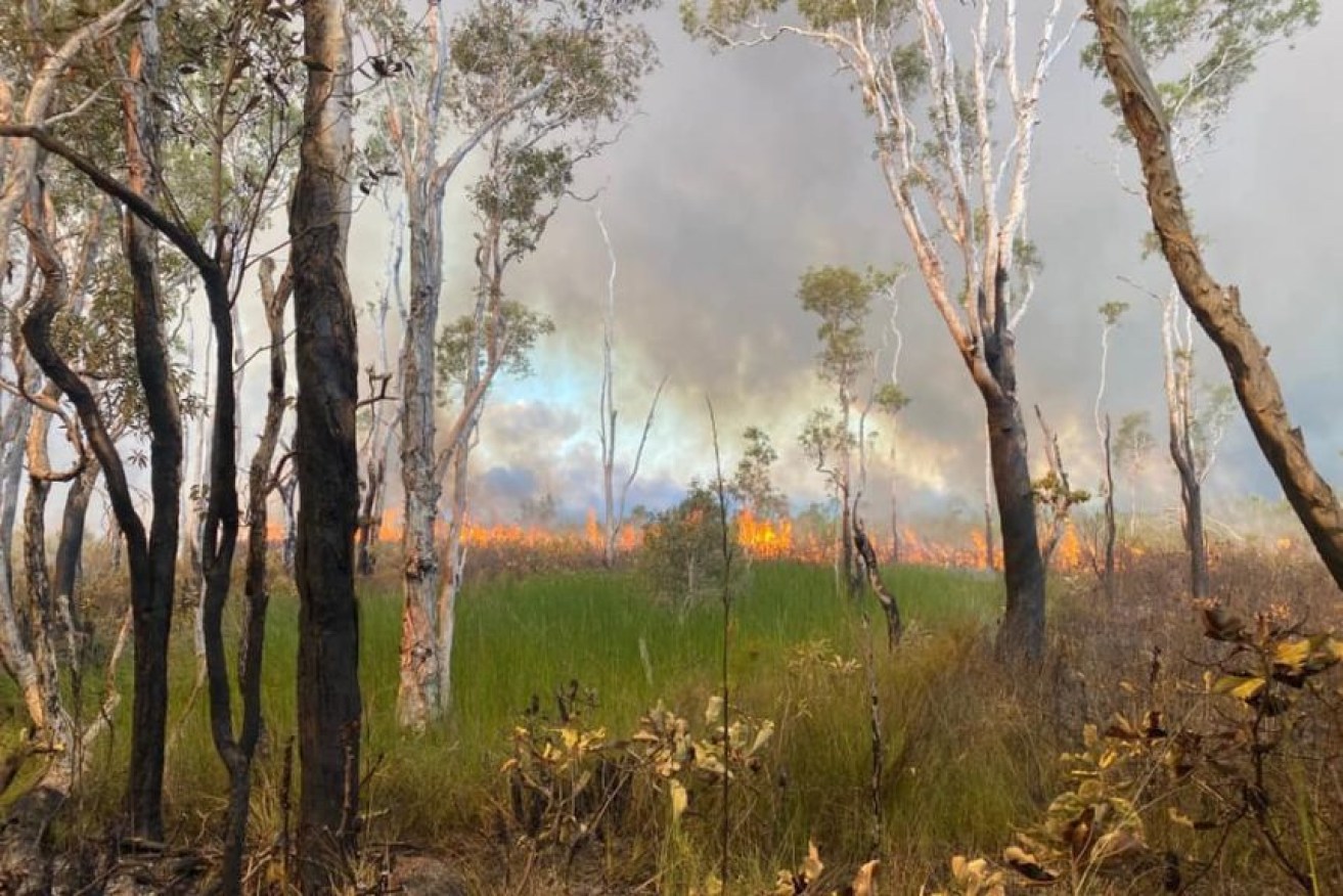 The fire on Fraser Island (K'Gari) burned for two months (Photo: Butchulla Aboriginal Corporation)