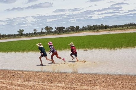 Western Queensland’s ‘drought babies’ have puddles to splash in after 10-year dry spell