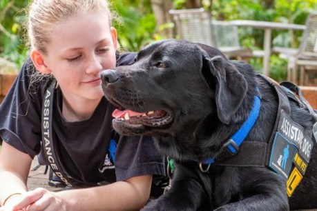 Assistance dog is life-changing for Bundaberg teen Summer Farrelly, who lives with autism