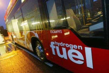 Resources sector raises doubts over ‘green’ hydrogen