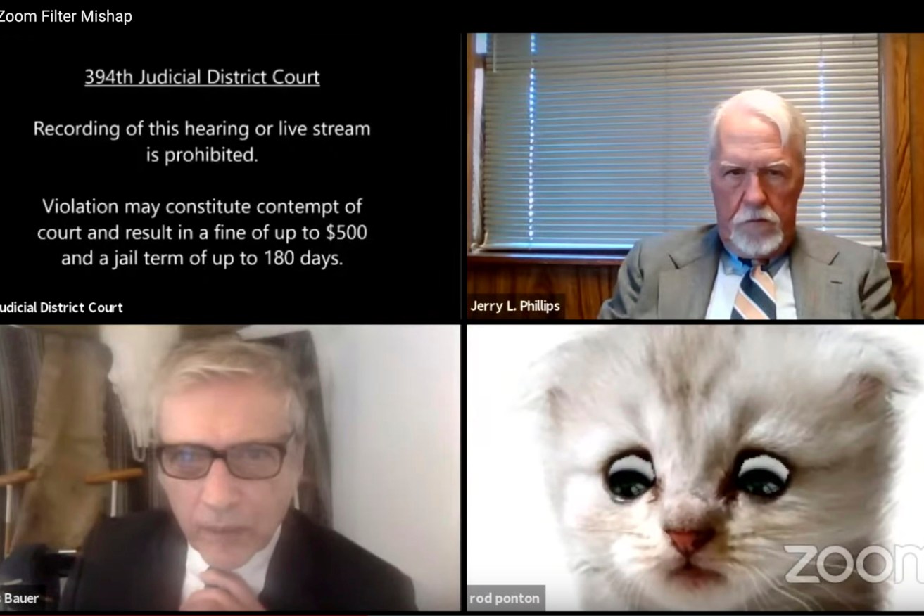 This image from video shows a hearing from the 394th Judicial District Court of Texas. The hearing took a detour when an attorney showed up looking like a kitten. A filter that had been activated on the attorney's device obscured his appearance and made him look like a cat. Judge Roy Ferguson shared the short video clip of the mishap on YouTube. The judge says everyone involved handled the situation with professionalism and grace. (Texas Department of Criminal Justice via AP)