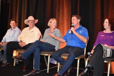 All roads lead to bumper Outback tourism revival