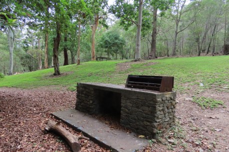 Wood-fired barbecues rapidly disappearing from Brisbane parks