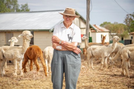 The ageing alpaca farmer who brought a Darling Downs coal mine to a halt