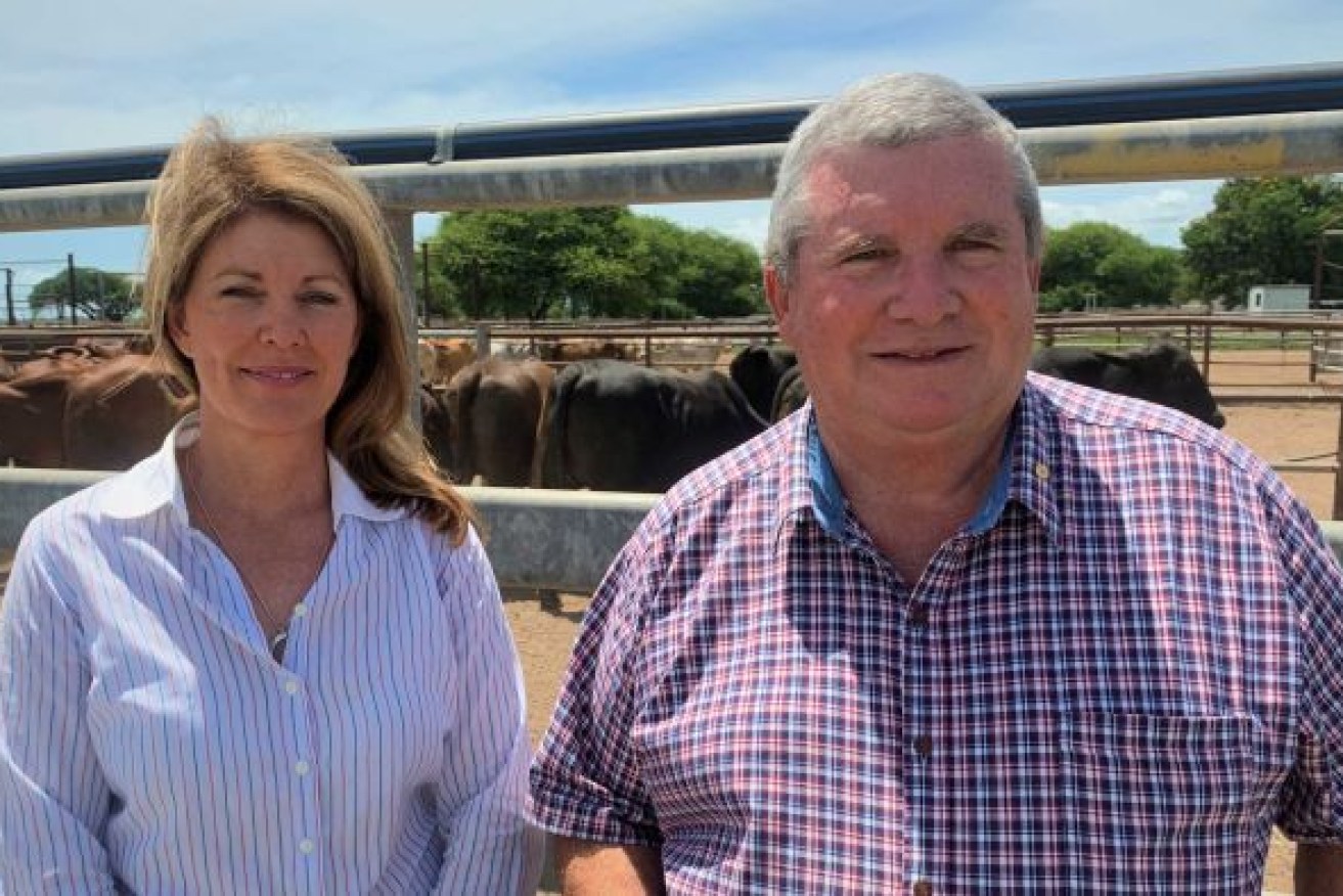Agency coordinator-general Shane Stone, pictured with fellow National Drought and Flood Agency board member Tracey Hayes, said he was surprised at the limited take up of the grants. Photo: ABC