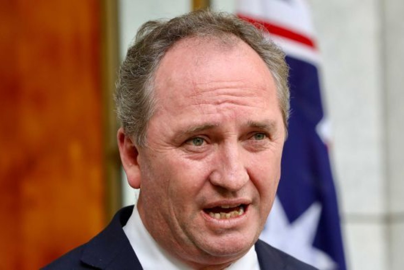 Barnaby Joyce has won back the National Party leadership, reinstalling his as Australia's Deputy Prime Minister. Photo: ABC