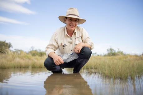 Little fish are sweet: How Longreach helped save an endangered species