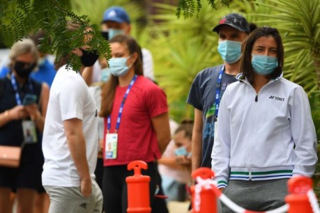 Tennis hotel staff had back-slapping party, three days before virus escaped
